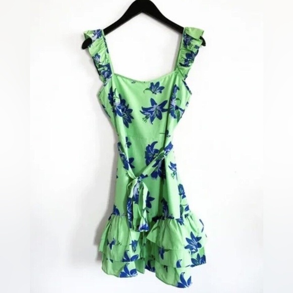 Likely Mini Charlotte Dress In Green Petal. NWT. Size 10 - Picture 5 of 13